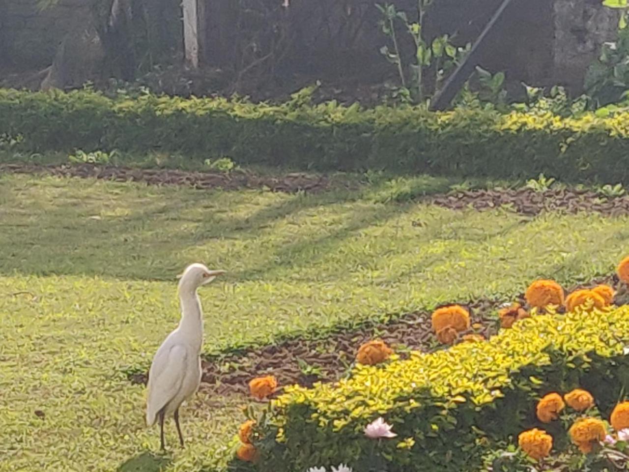 Heritage Homestay Jammu Ngoại thất bức ảnh