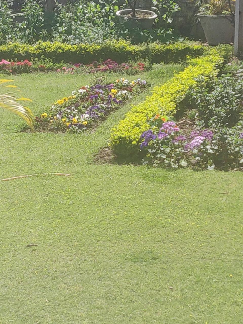 Heritage Homestay Jammu Ngoại thất bức ảnh