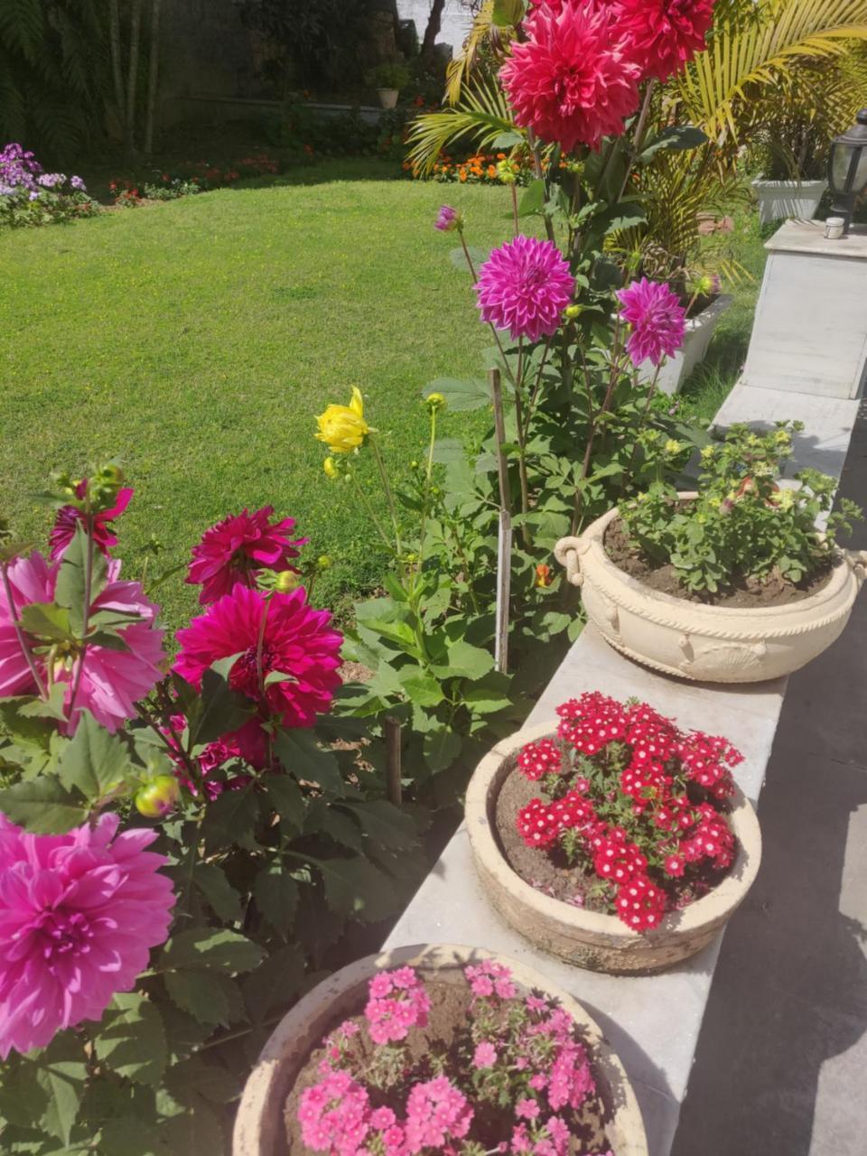 Heritage Homestay Jammu Ngoại thất bức ảnh
